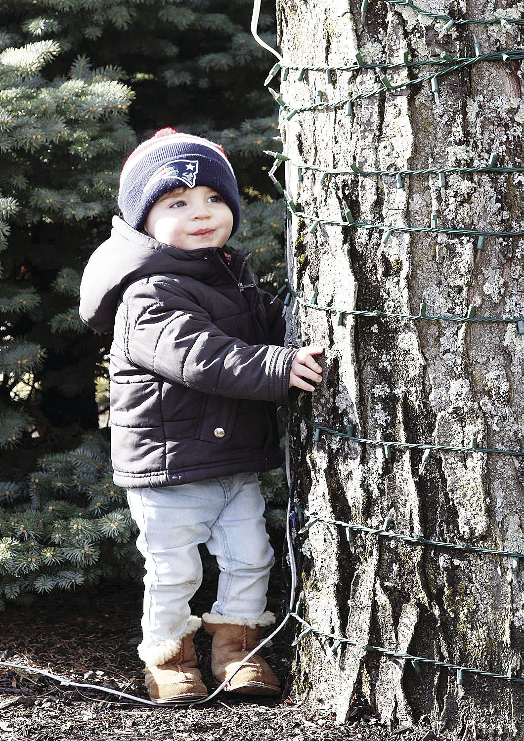 181224-news-picsoftheyear-0227-news-TREEHUGGER_001.jpg